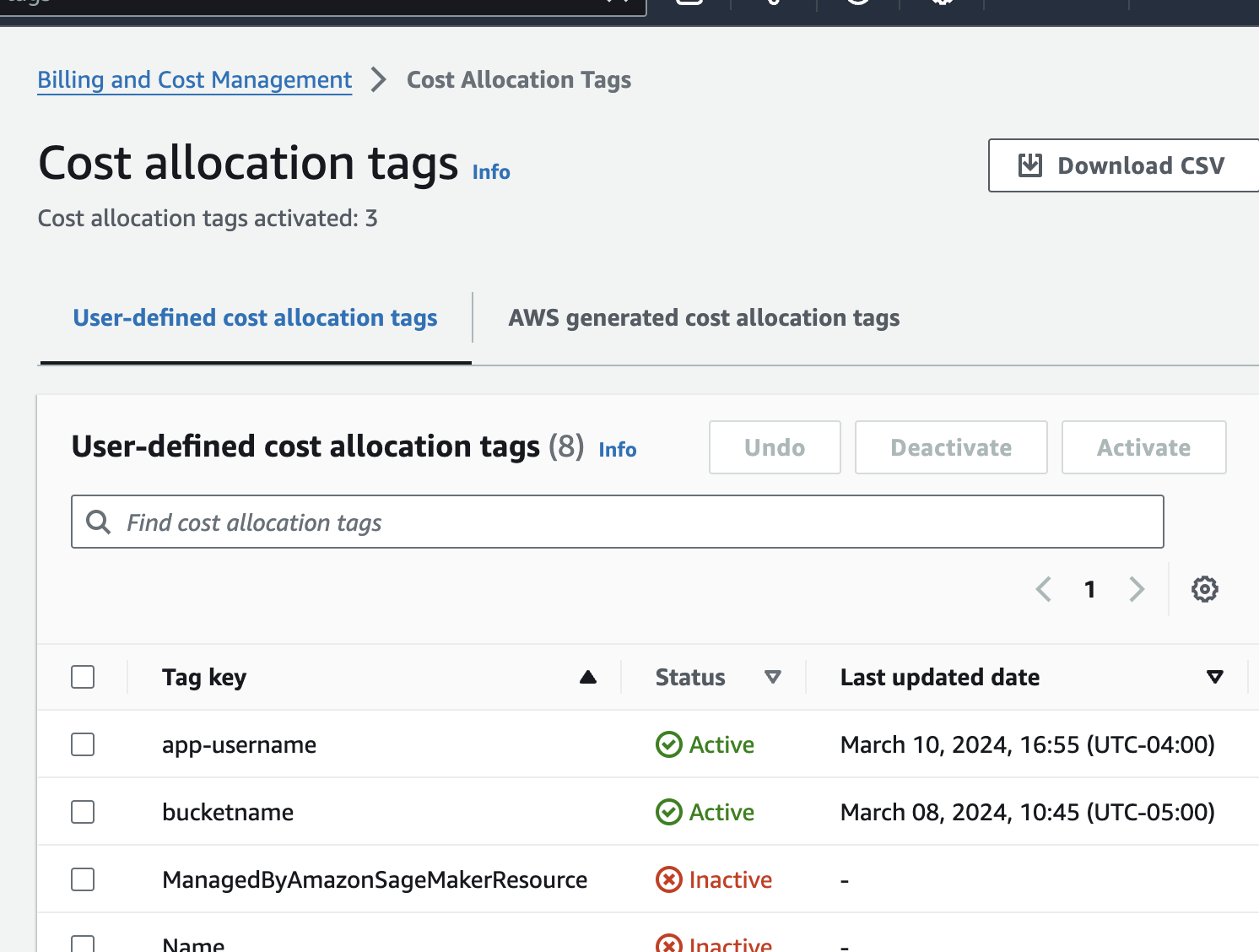 Cost allocation tags