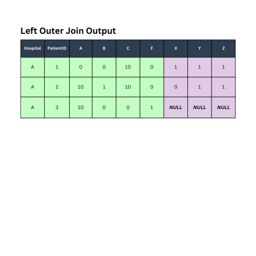 Sample datasets after being merged with left outer join