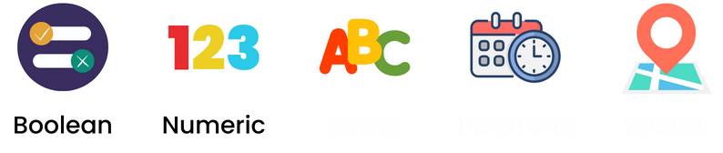Data type images with boolean and numeric text