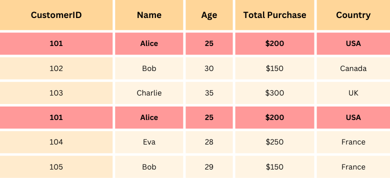 Duplicate rows highlighted in sample data.png