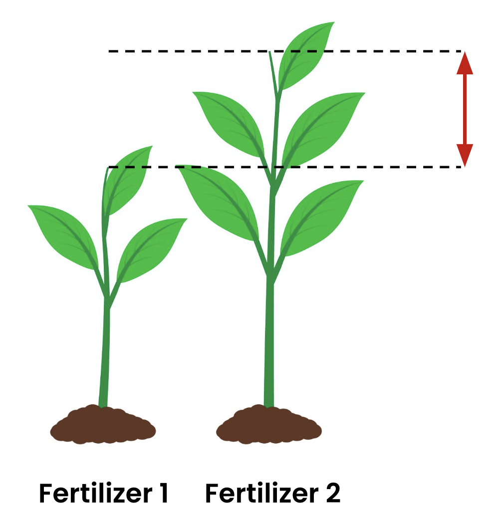 Two plants treated with different fertilizers that have grown to different heights. There's an arrow indicating the difference in height to represent the effect size.