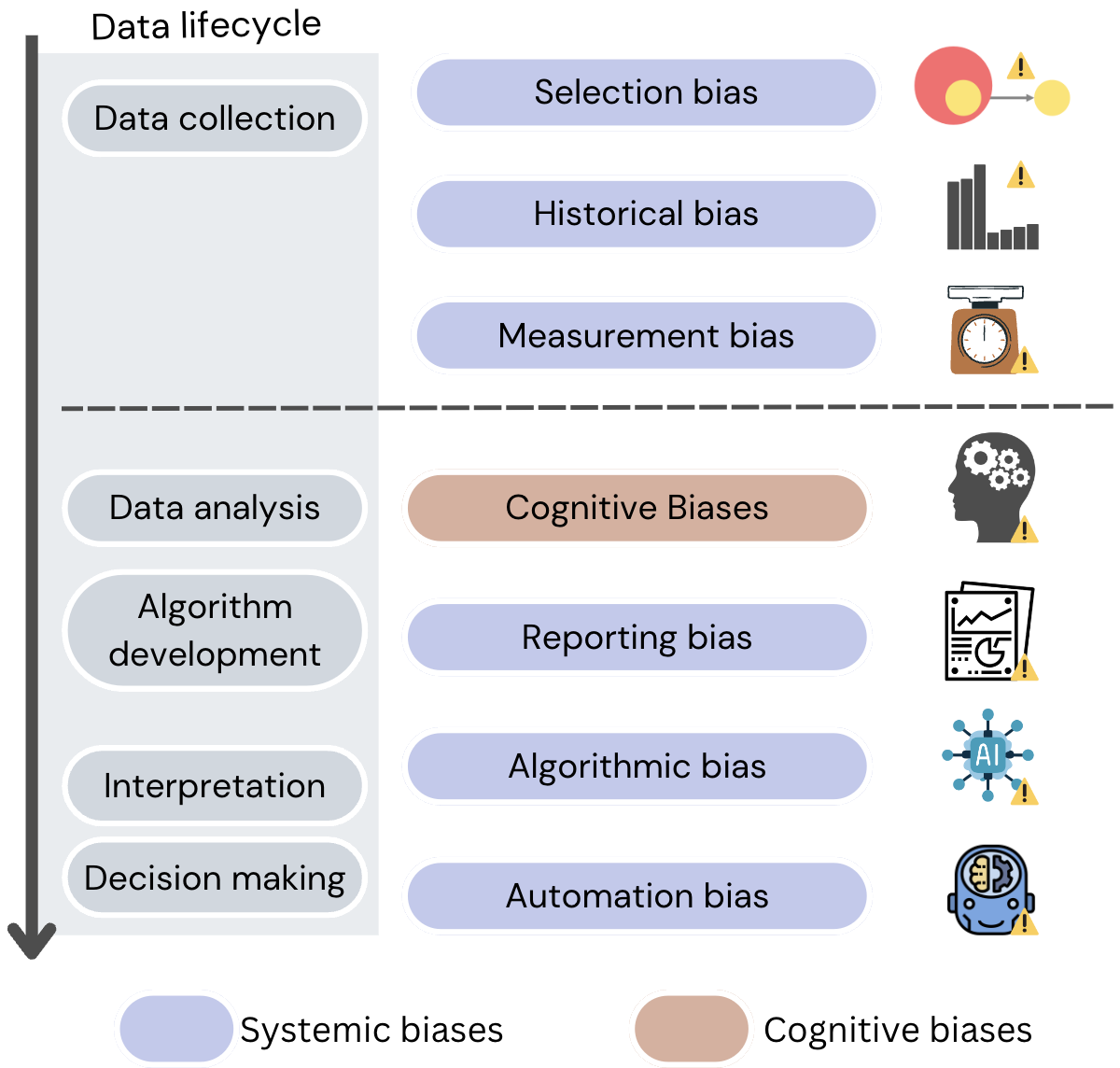 Diagram with biases in data lifecycle, algorithms