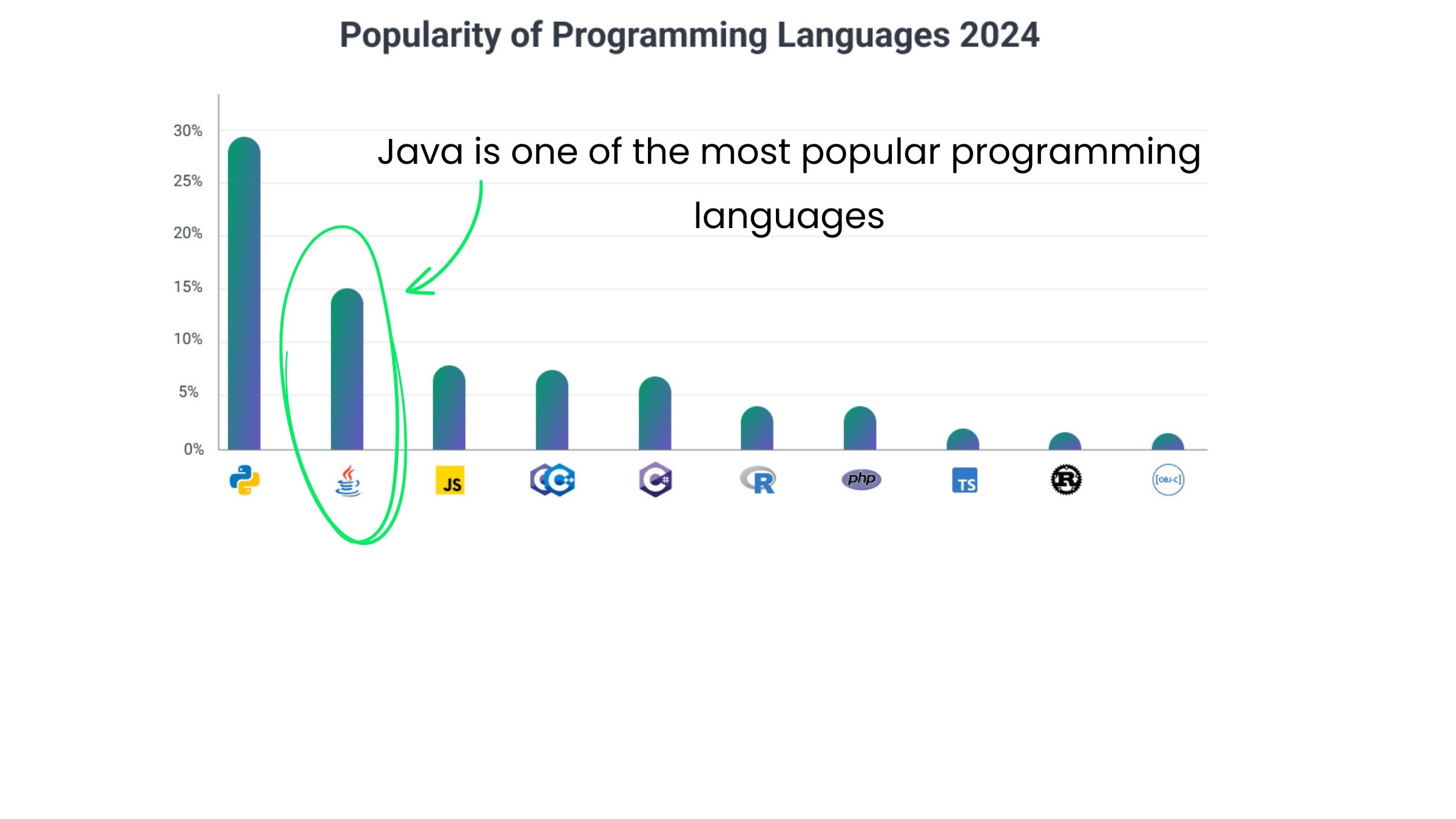Bar plot showing Java was the second most popular programming language in 2024.jpg