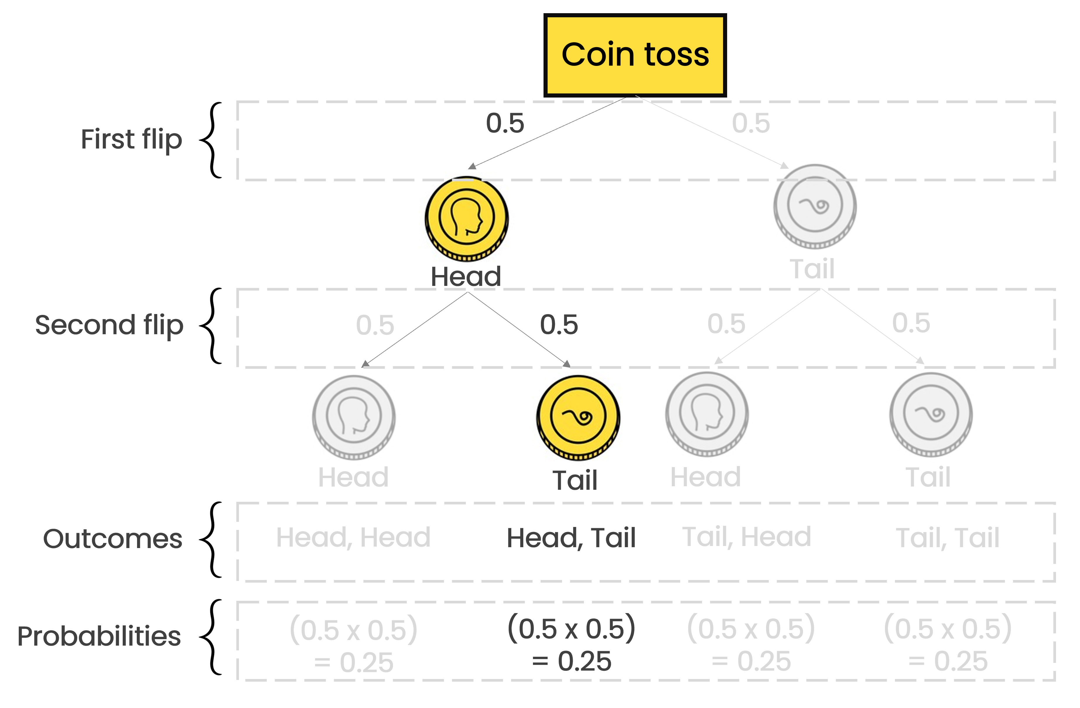 A decision tree highlighting the outcome of the first coin toss as head, the second outcome as tail and the probability of this happening.
