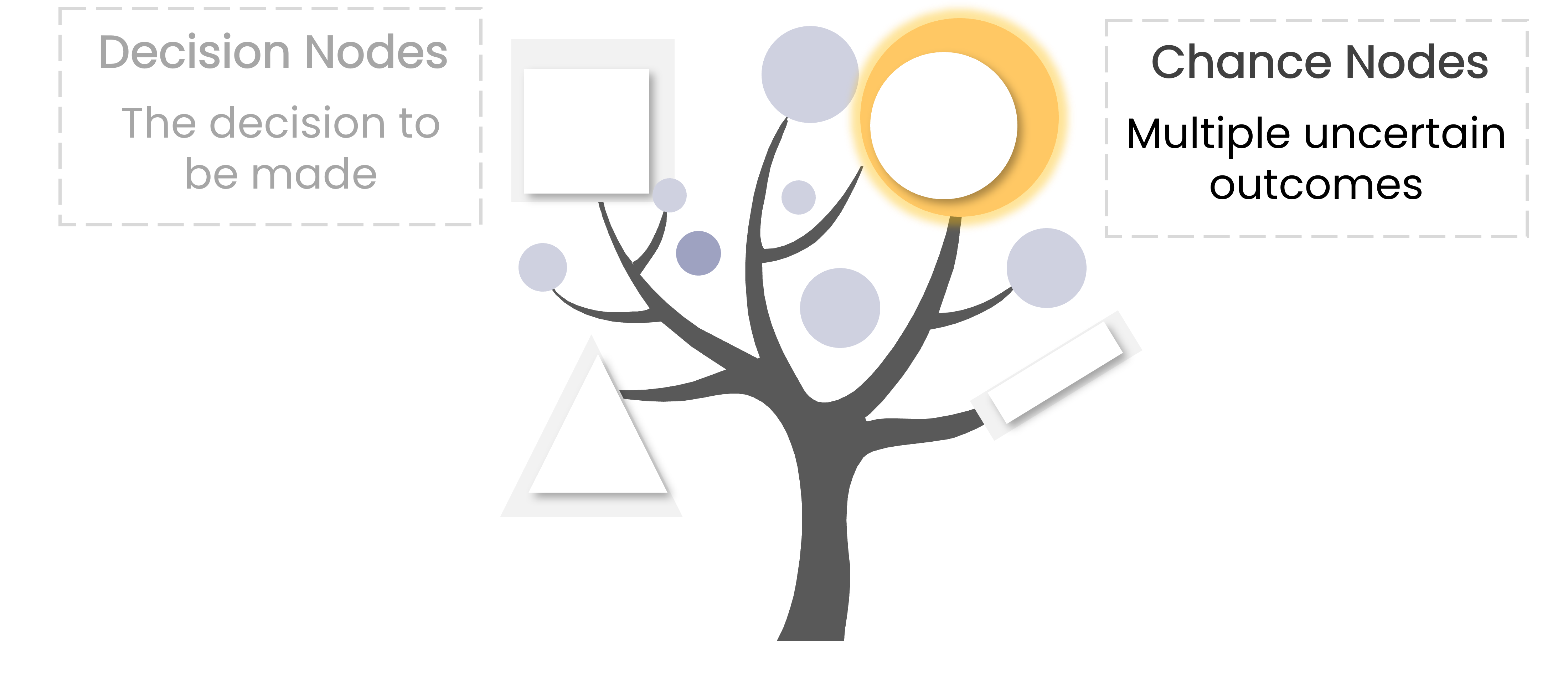 A tree with a circle on its branch highlighted in yellow