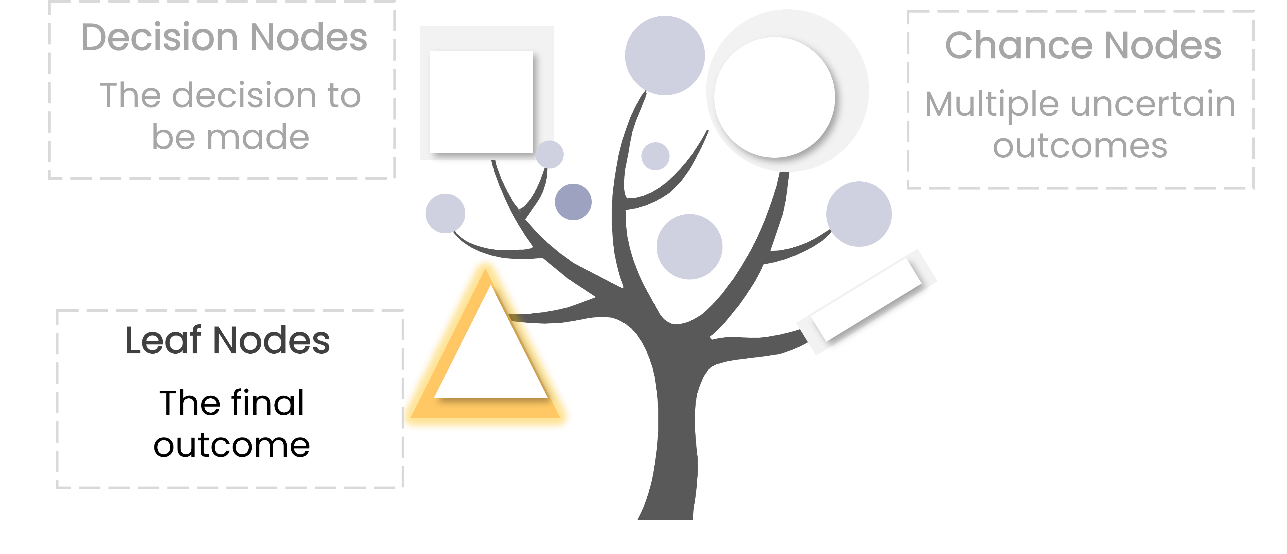 A tree with a triangle on its branch highlighted in yellow