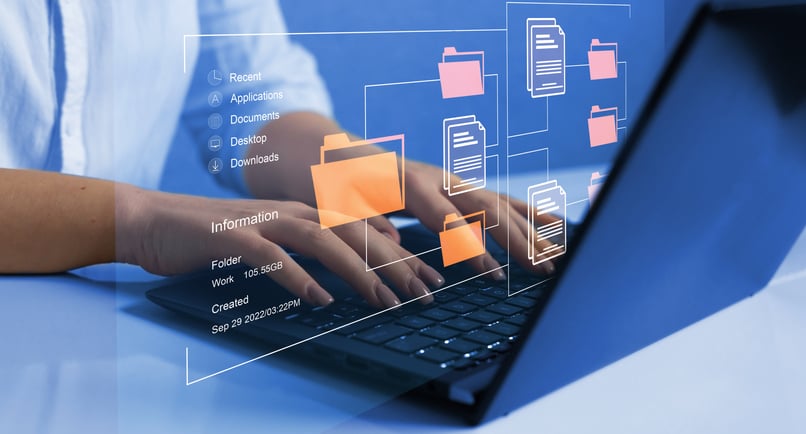 Managing organizational data