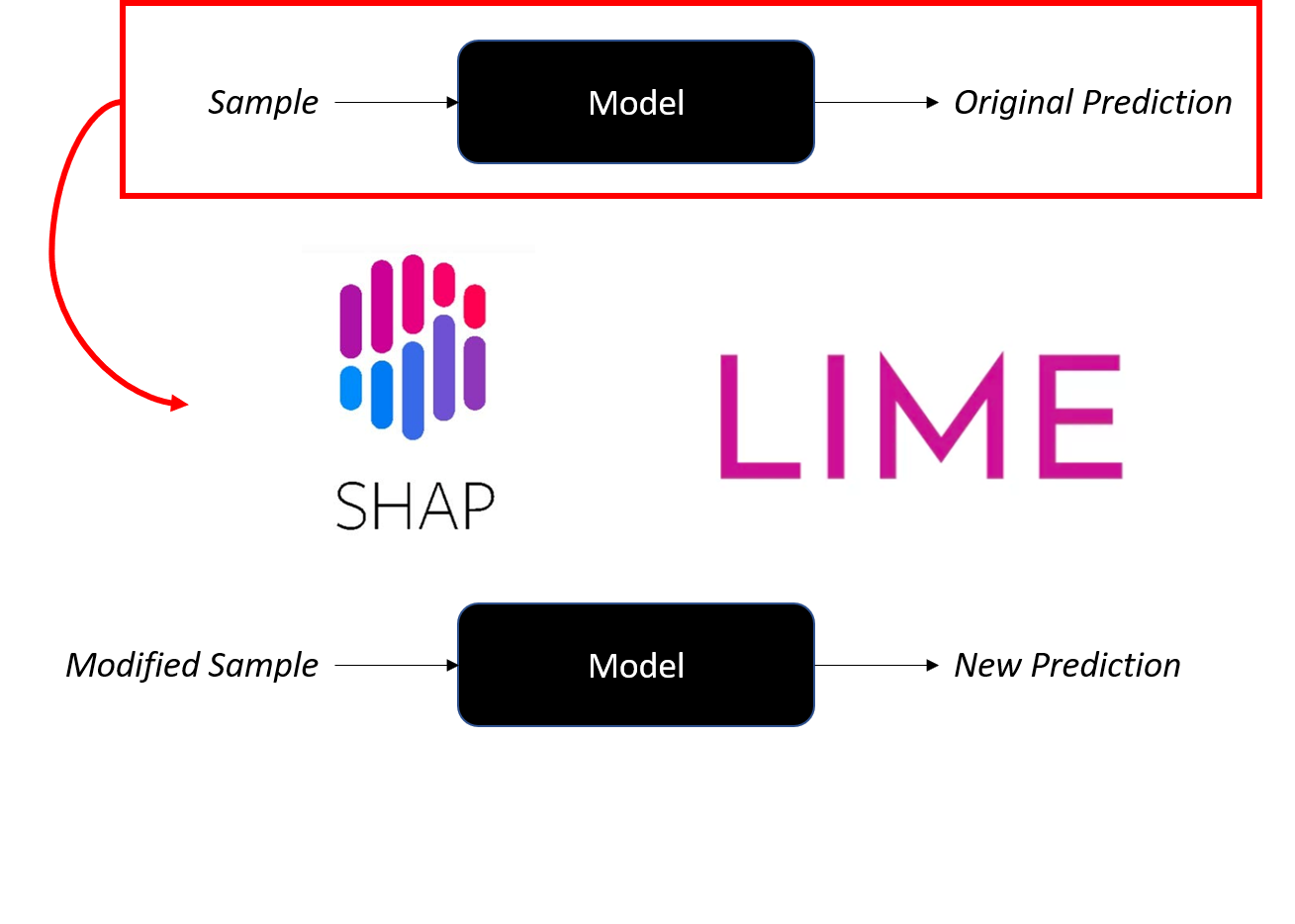 A modified sample is fed into the model to generate new prediction.