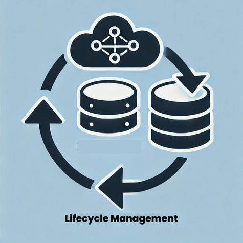 Image depicting the storage and lifecycle management of data