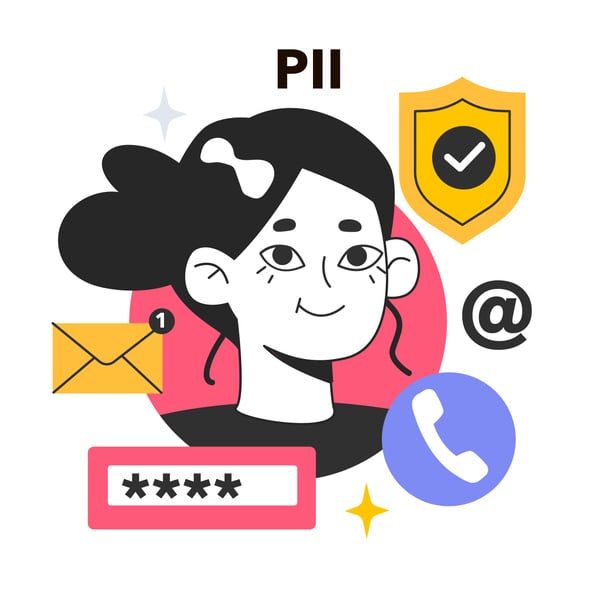 Cartoon image showing elements related to PII