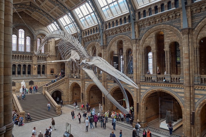 Image of inside a museum exhibit