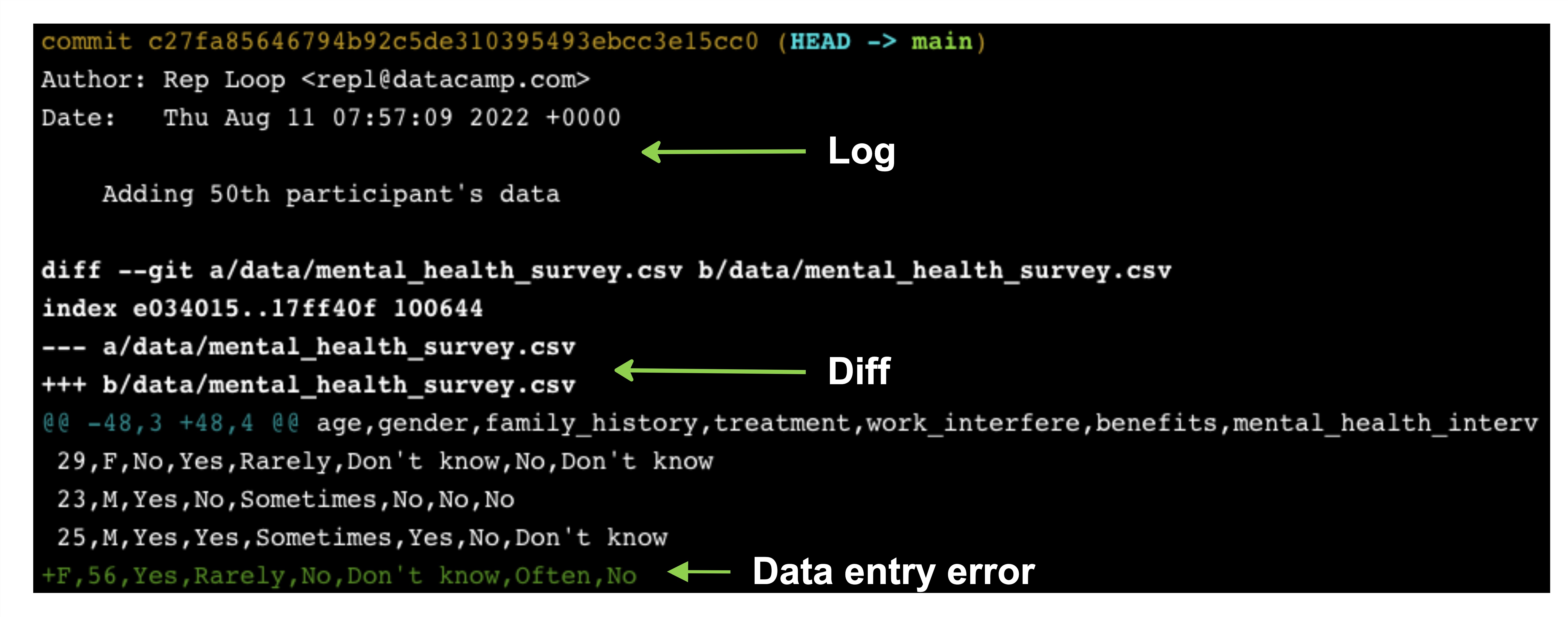 git show output displaying the git log output at the top and the git diff output underneath, with the incorrect data entry at the bottom