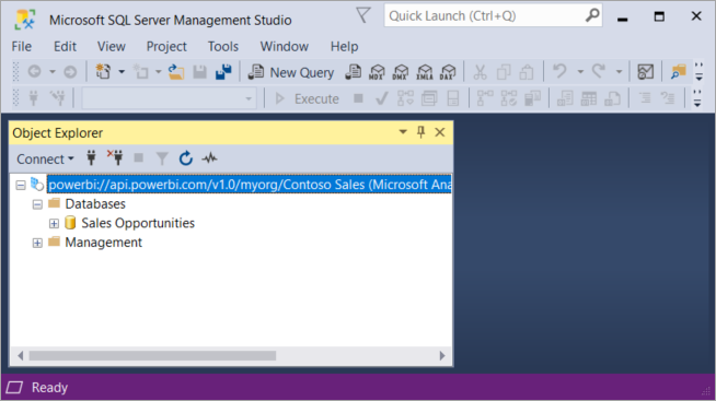SSMS Connecting to the Endpoint