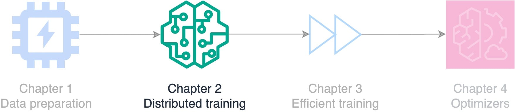 Flowchart illustrating the course topics: data preparation, distributed training, efficient training, and optimizers.