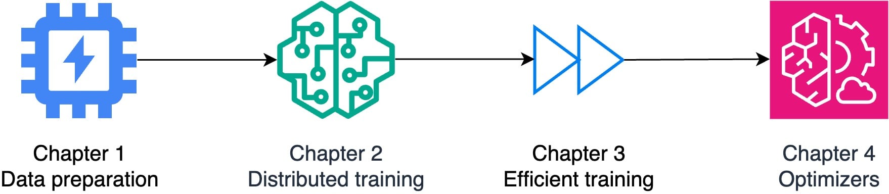 Flowchart illustrating the course topics: data preparation, distributed training, efficient training, and optimizers.