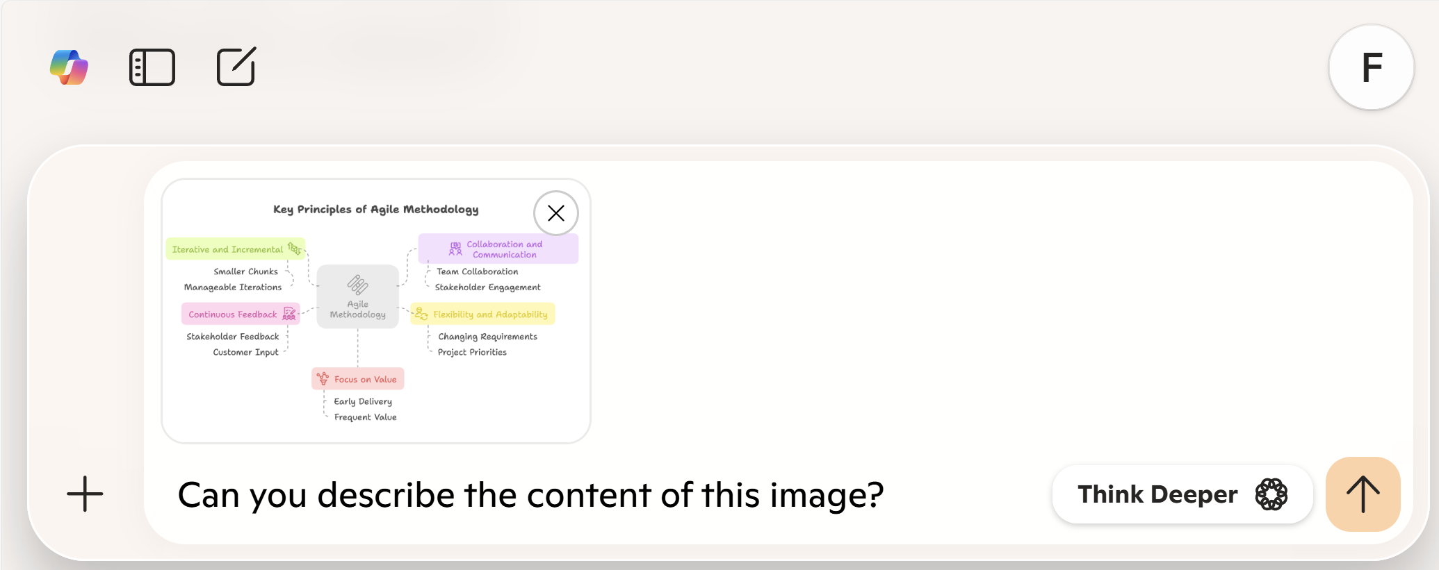 Prompt says: "Can you describe the content of this image?"