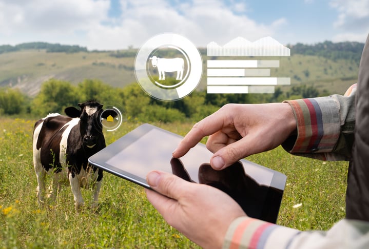 Image using AI for animal identification