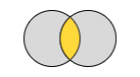 icon with a Venn diagram representing an inner join