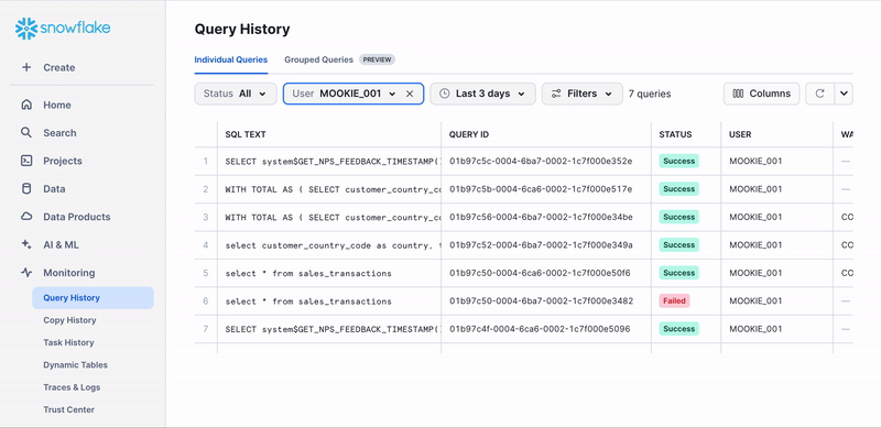 GIF of Viewing Query History