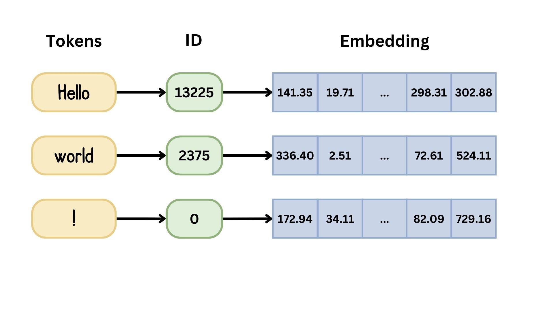 The token IDs embedded into vectors of a given dimensionality.
