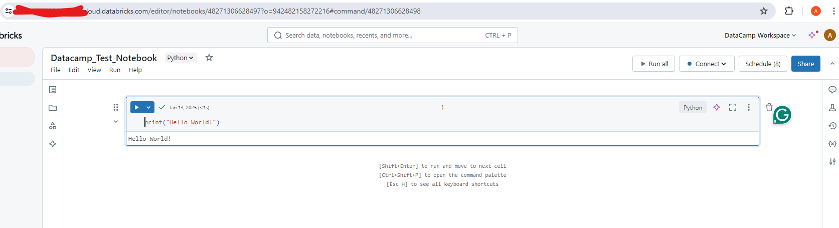 Screenshot of Databricks Notebook