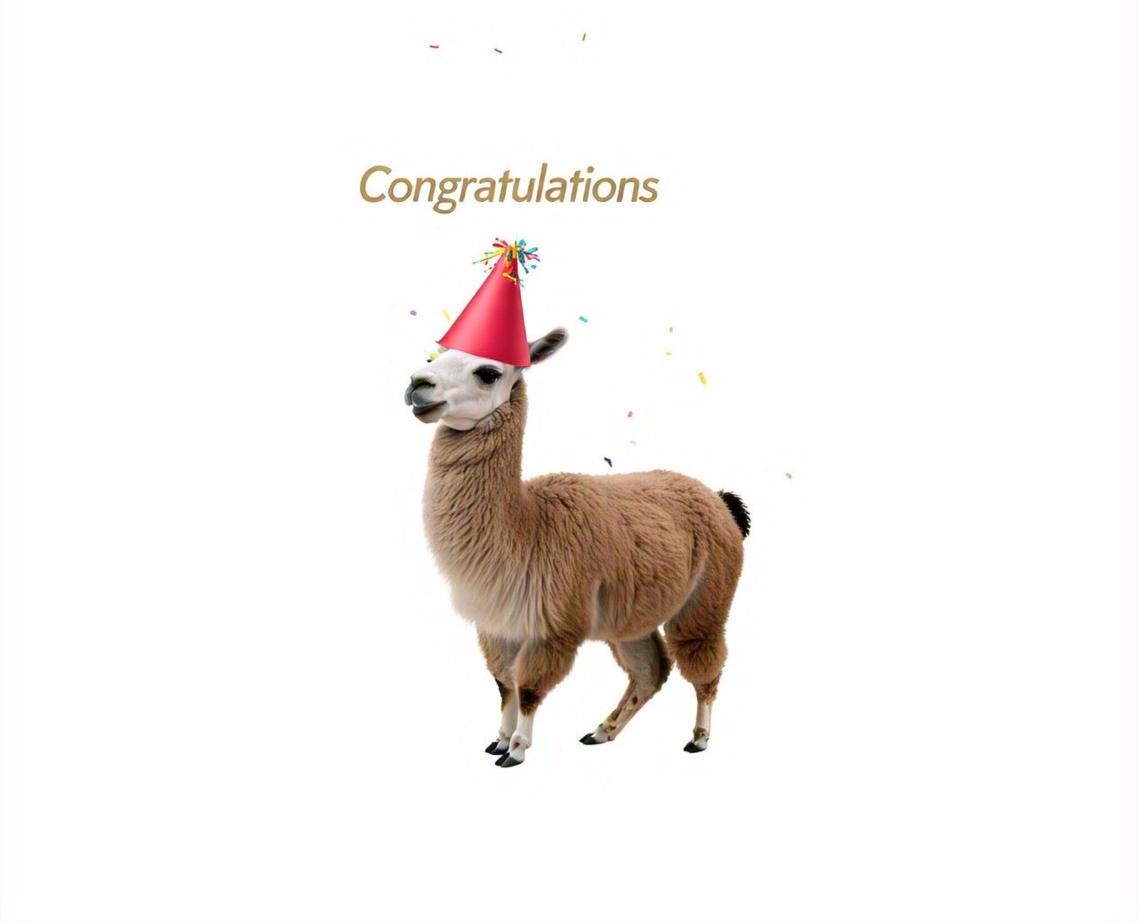 A llama with a party hat and confetti saying congratulations