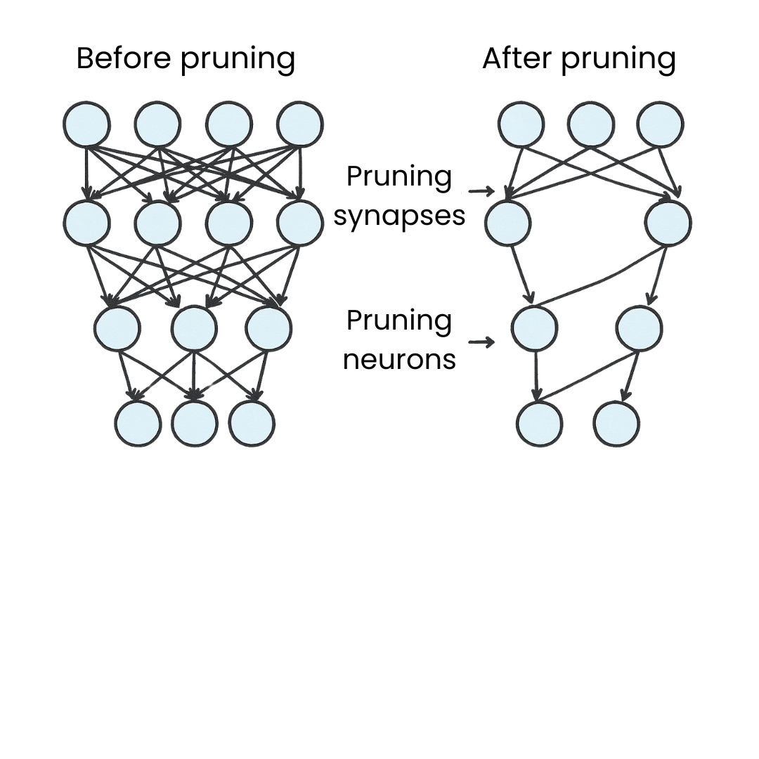 pruning example