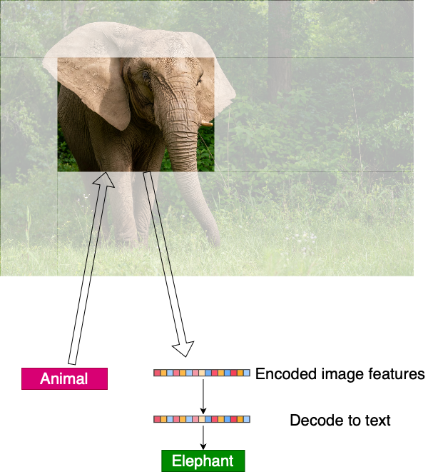 Diagram showing the focusing in on an animal and identification