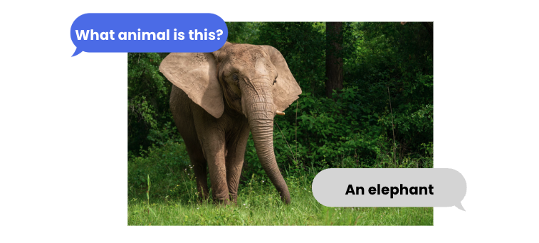Asking which animal this is to an image showing an elephant.