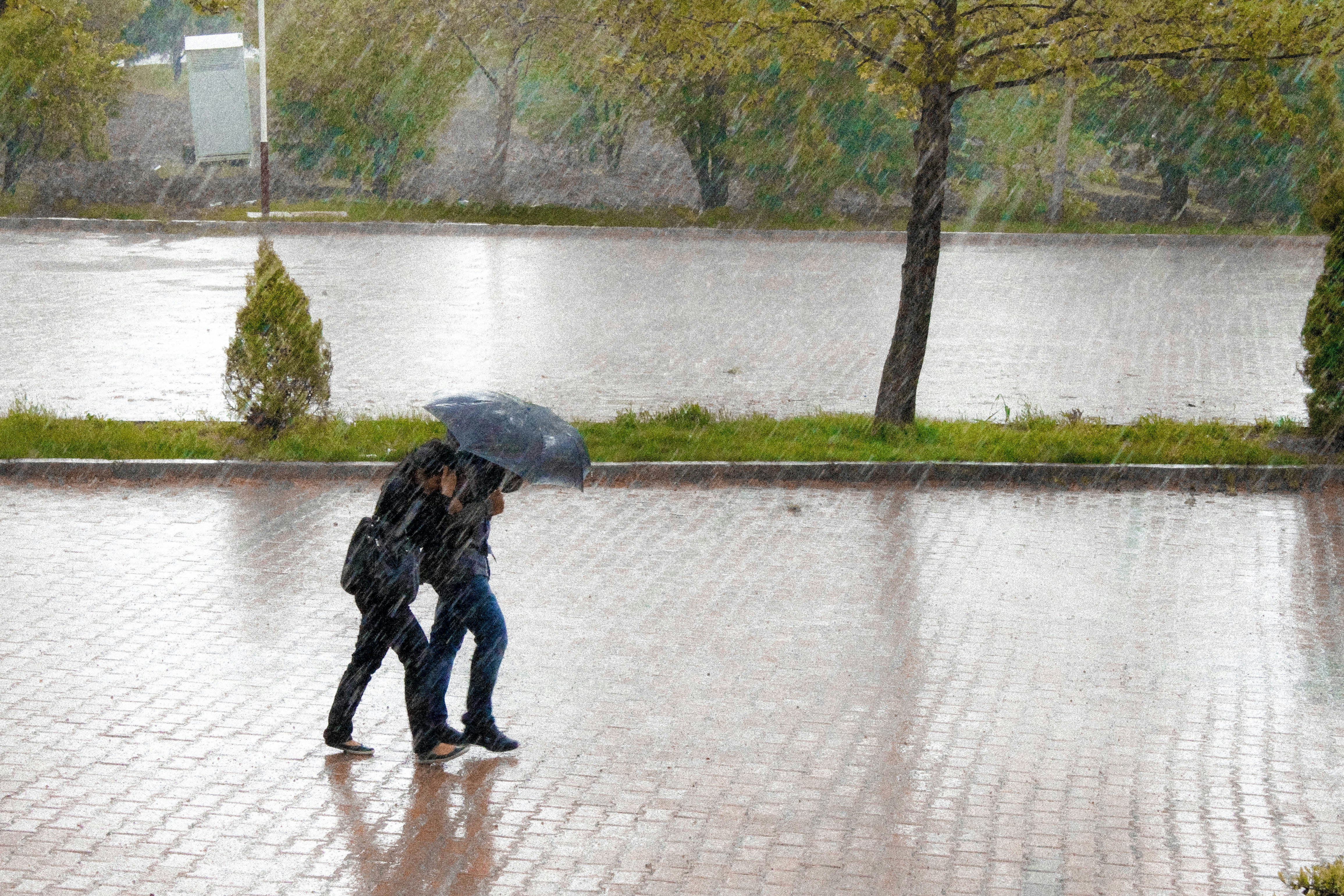 Rain and umbrellas