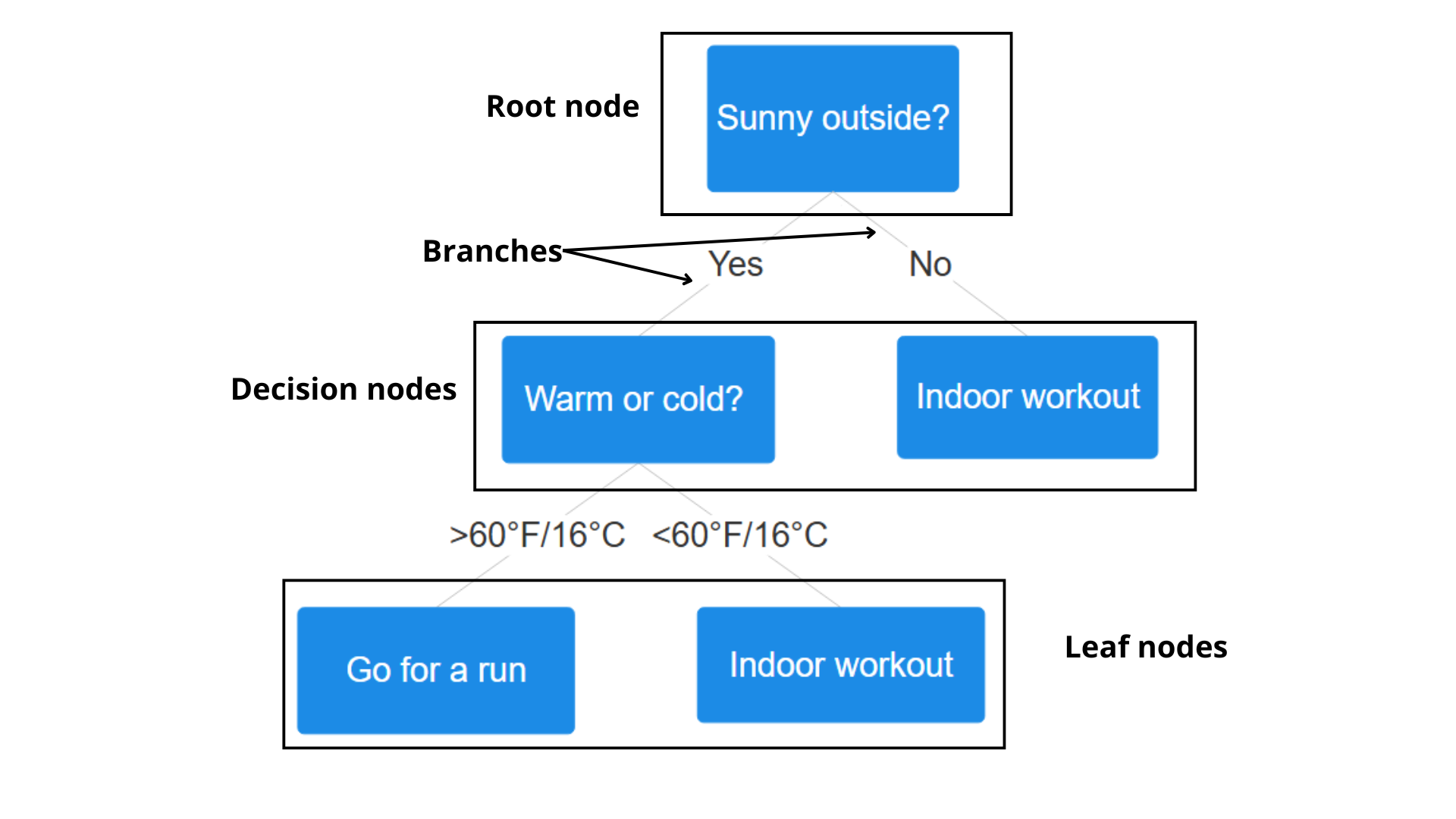 Leaf nodes