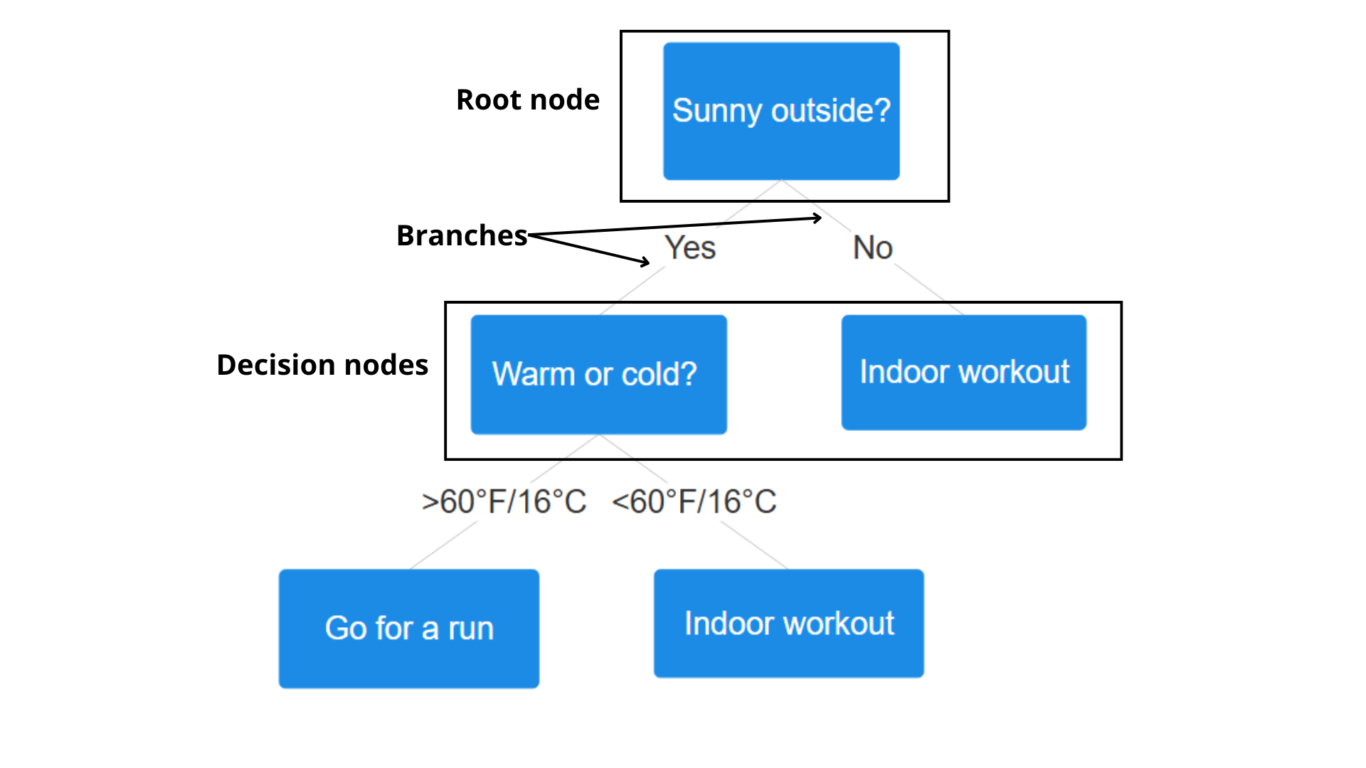 Branches and decision nodes