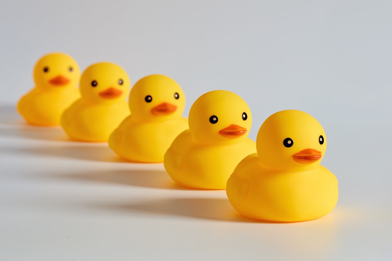 Multiple Ducks ducks