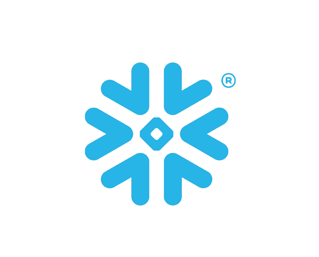 Snowflake Logo Icon