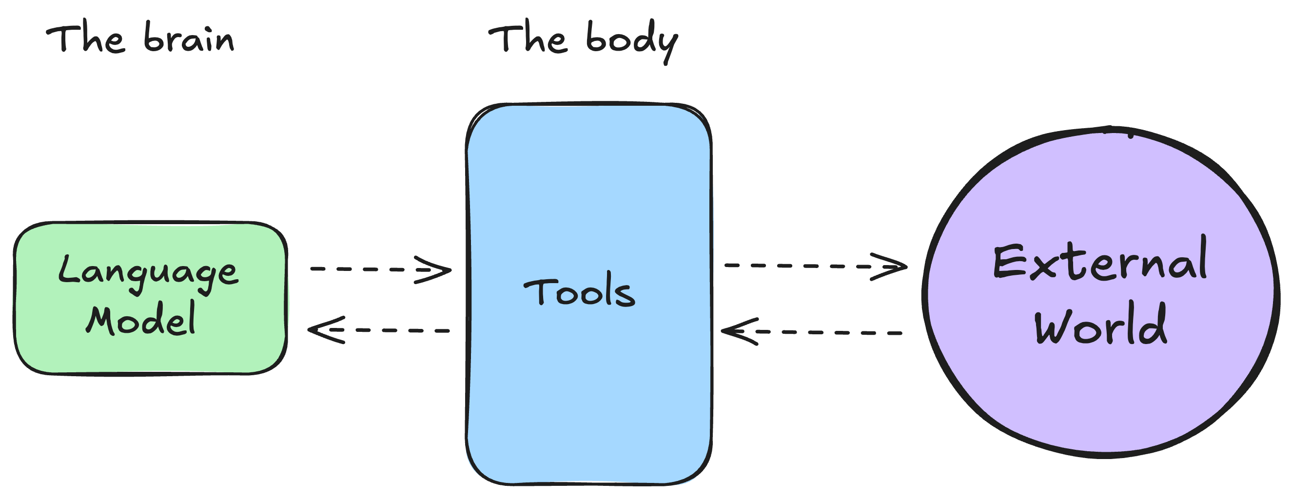 brain_body