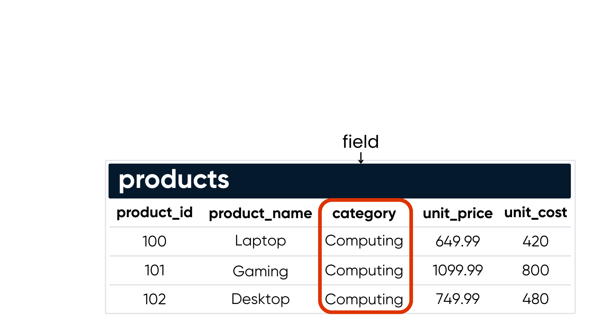 Table columns known as fields