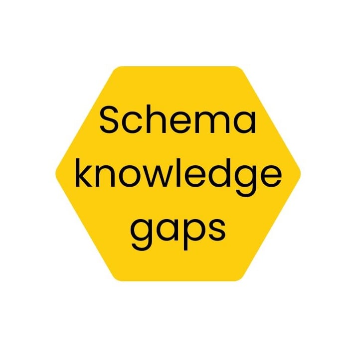 Schema knowledge gap