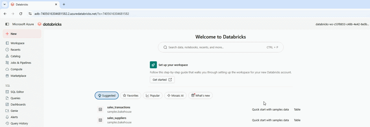 Databricks workspace overview