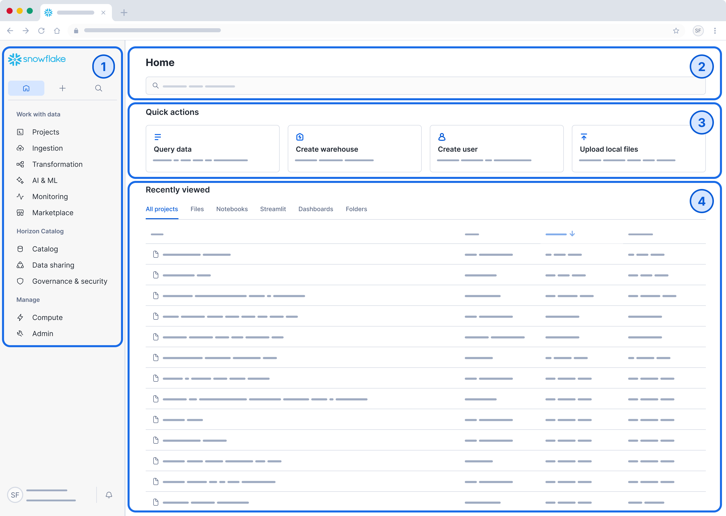 Overview of the Snowflake Interface