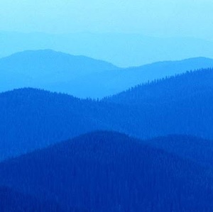 Rizwan Ghulam Hussain avatar