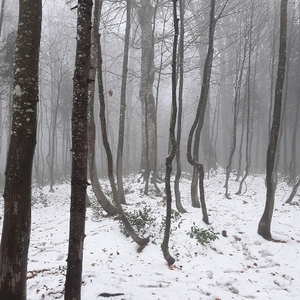 Ivan G. Lopez Cruz avatar