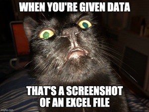 Roberty Boberty avatar