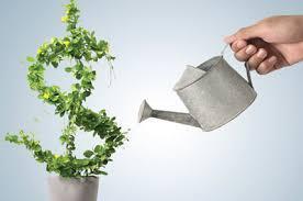 Daniel Sineus avatar