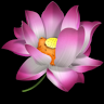 Duy Trương Nguyễn Khắc avatar