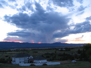 Bradley Warner avatar