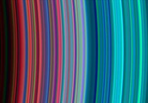 Andrew Burrell avatar