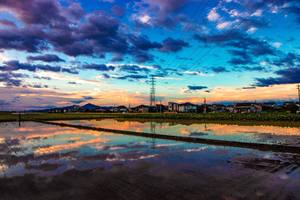 Josephine Lee avatar