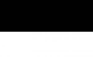 Elias Youssef Haddad Netto