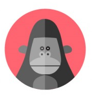 Kwinten Michielsen avatar