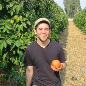 Danny Ginzburg avatar